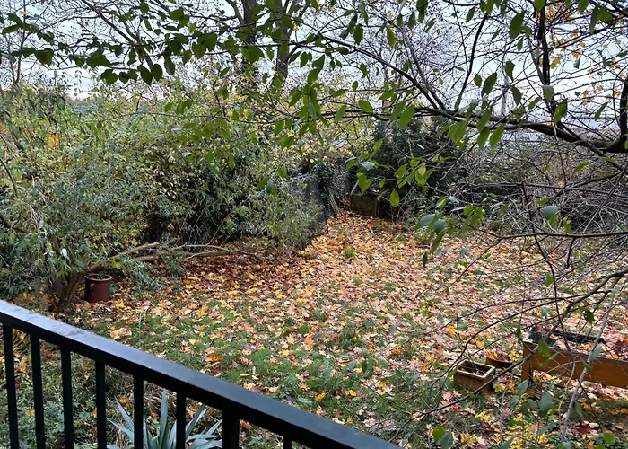 アパート 4 Min Naehe Von Hbf Und Dom Mit Garten ,balkon & Office