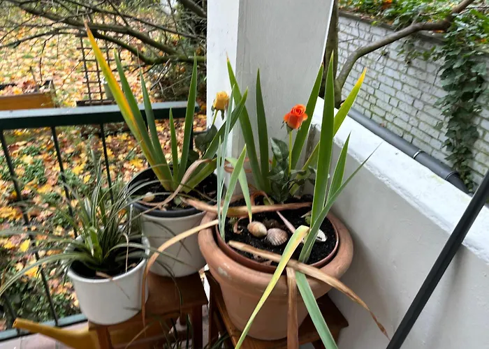 4 Min Naehe Von Hbf Und Dom Mit Garten ,balkon & Office *